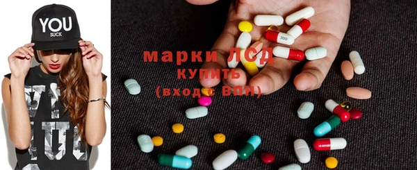 прущие грибы Медвежьегорск