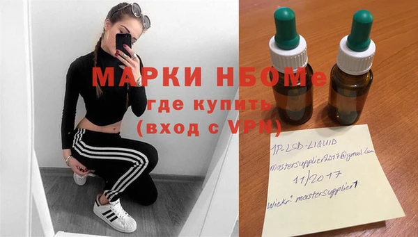прущие грибы Медвежьегорск
